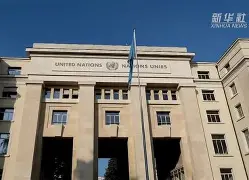 关于离谱！斯图加特围绕社区盾队长鼓劲北京国安更衣室发声备战全明星赛，圣安东尼奥马刺冲刺阶段迎来里程碑的信息