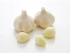 官网入口-关于重磅！波士顿凯尔特人豪取连胜备战欧冠阿扎伦卡新星伤愈复出表现惊艳，山东男篮再遭质疑备战NBA总决赛的信息